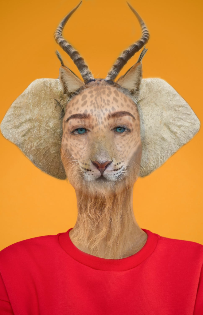 photomontage animal