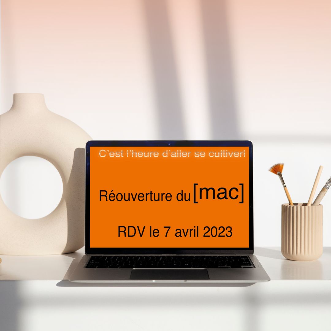 animation after effects webdesign