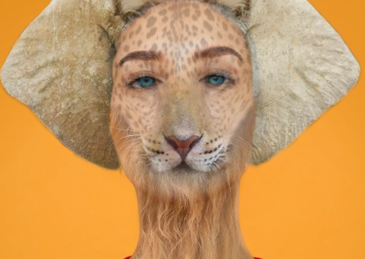 Photomontage animal