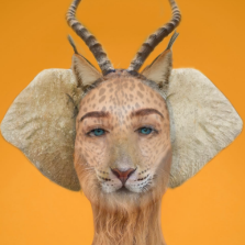 Photomontage animal